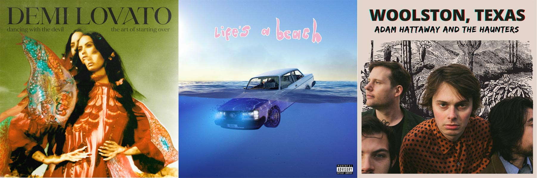 Albums web