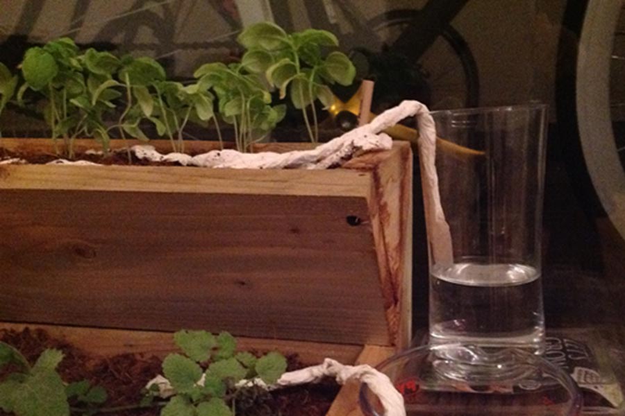 1557915541 EHET water planten web