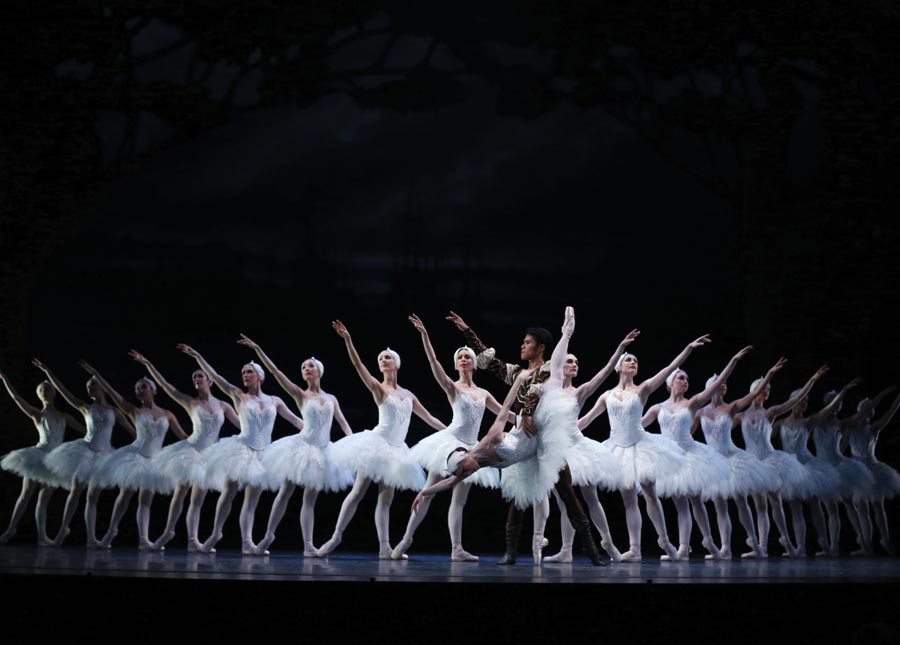 Swan Lake web