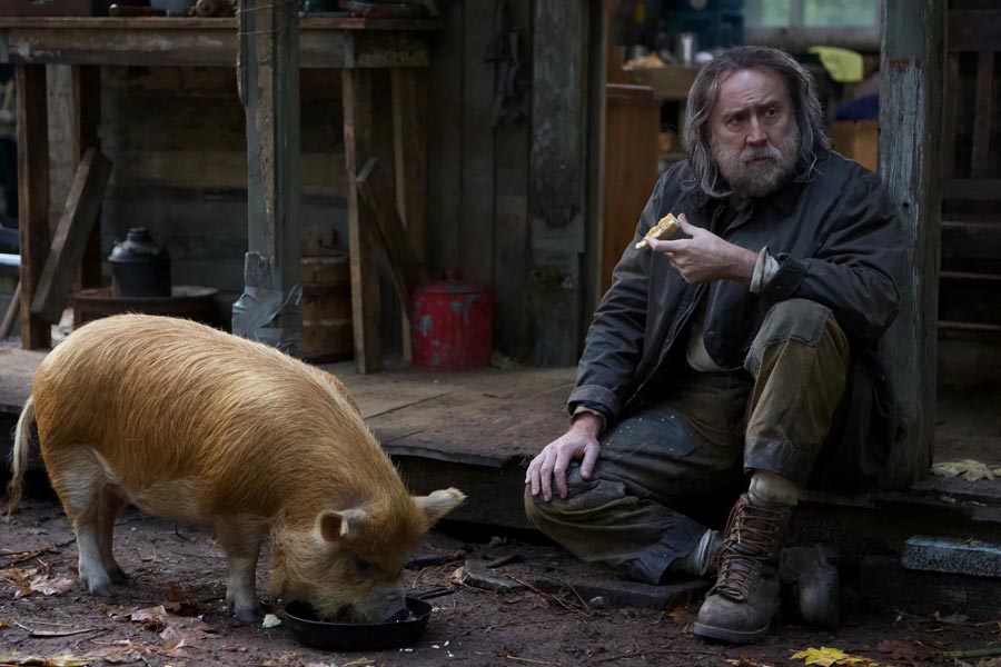 Pig web
