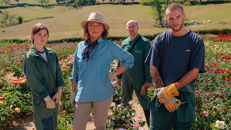 The rose maker web
