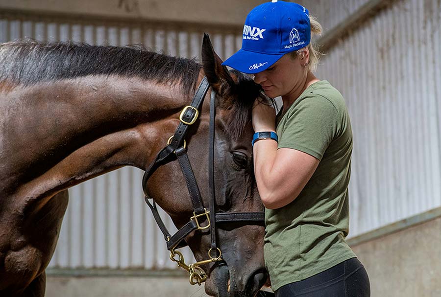 A Horse Named Winx a horse named winx