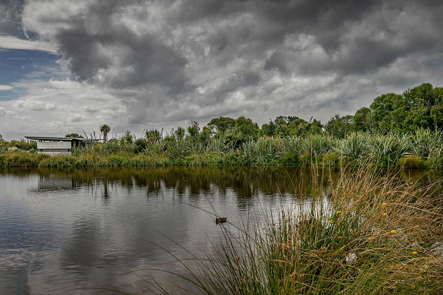 travis wetland