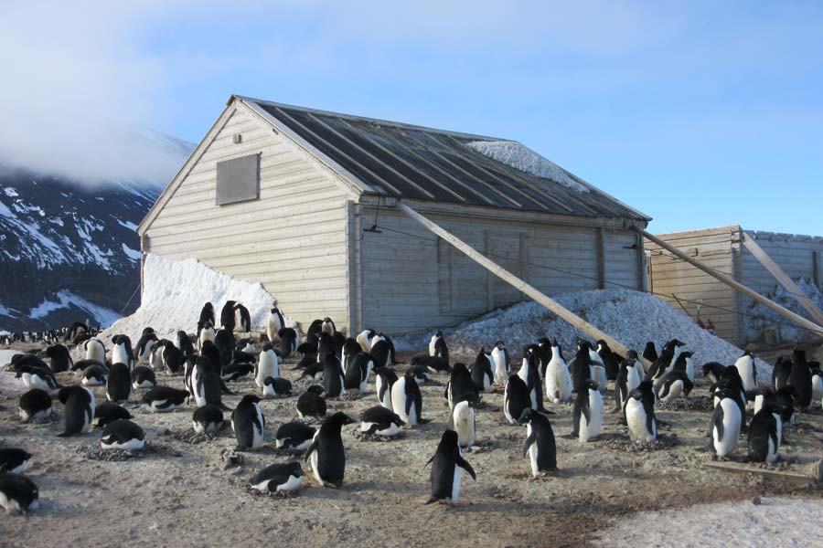 Cape Adare hut