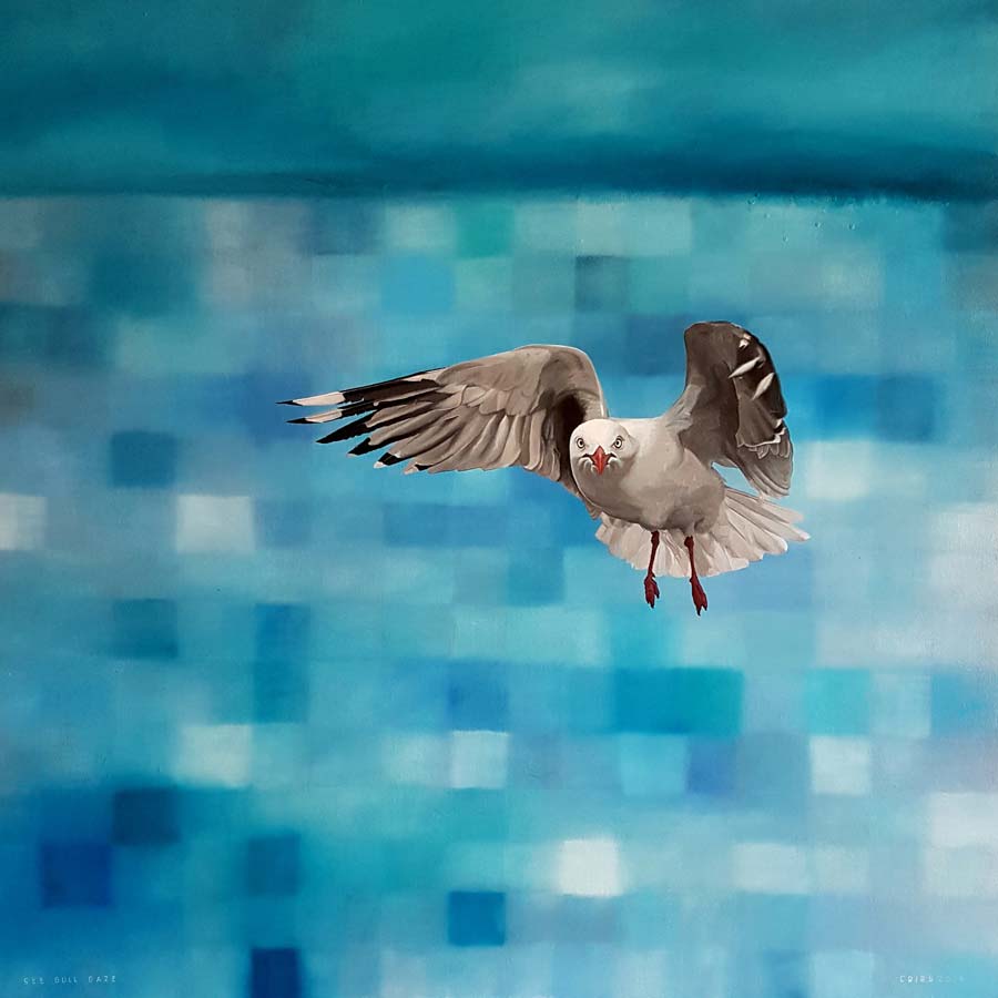 See Gull Gaze