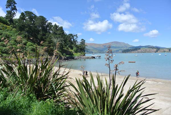 Image: christchurchnz.com Corsair Bay view towards Quail Island credit christchurchnz
