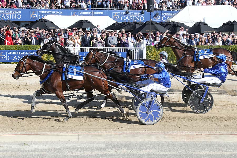 Addington Cup Week 2018 Wining Horse TheFixer
