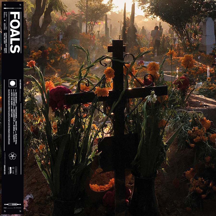 foals
