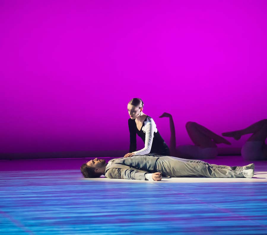 rnzb black swan white swan 1
