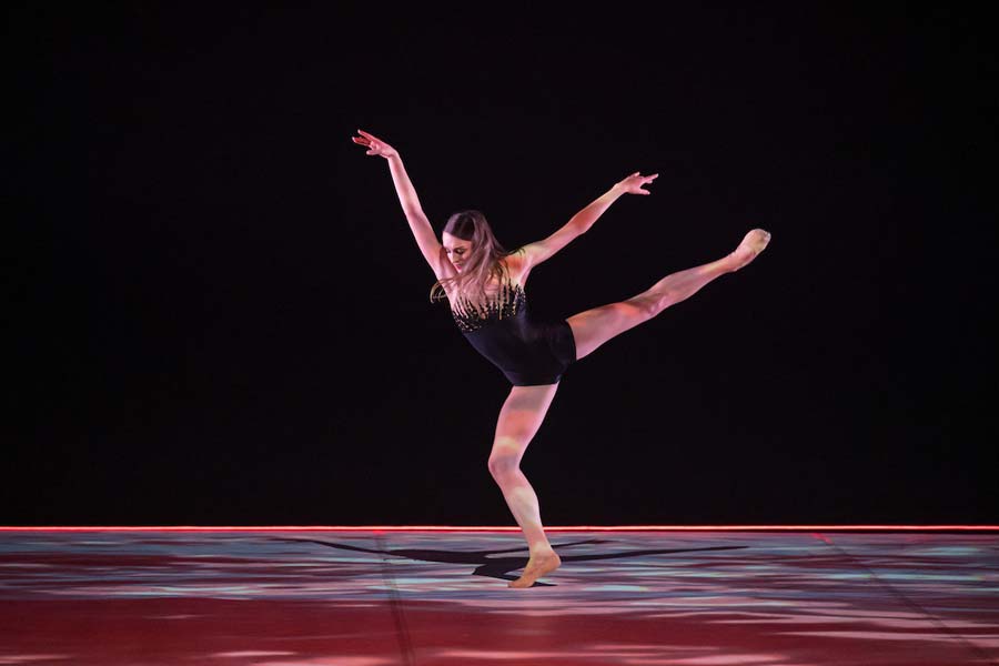 rnzb black swan white swan 2