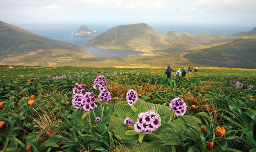 Mount Honey, Campbell Island. Photo: T.Bickford, Heritage Expeditions t.bickford heritage expeditions